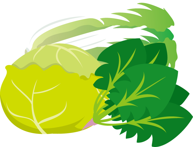 7月28日菜っ葉の日のイラスト-ホウレン草とキャベツと白菜